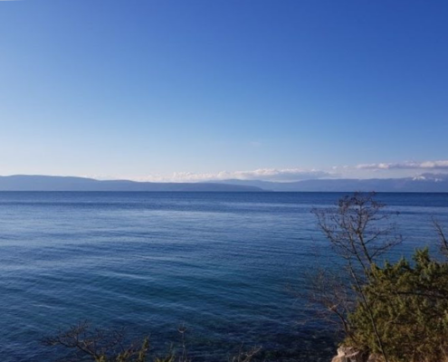05_Blog_banner